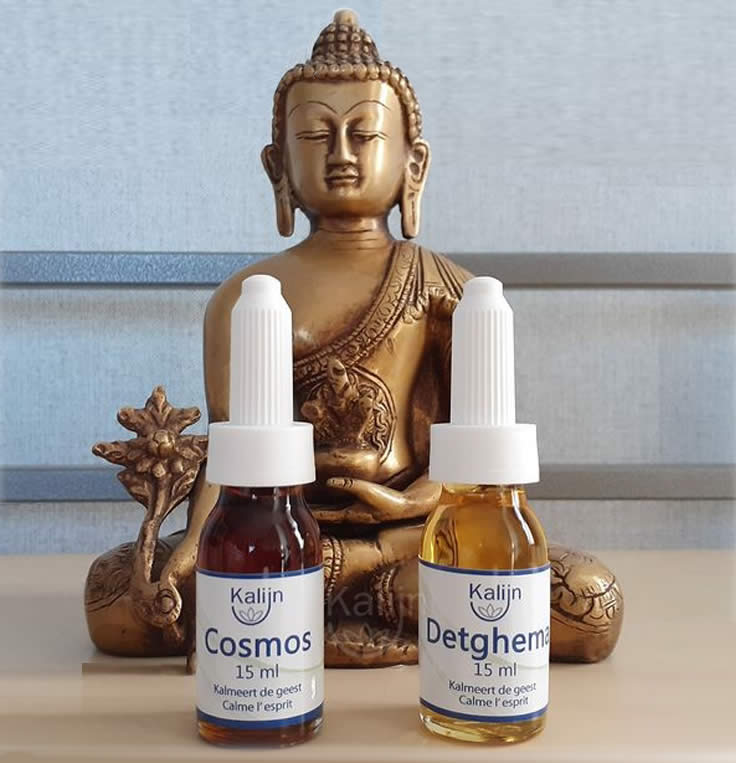 Cosmos en Detghema olie